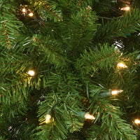 7.5 ft. Pre-Lit Peytom Spruce Tree with Clear Lights - National Tree Company