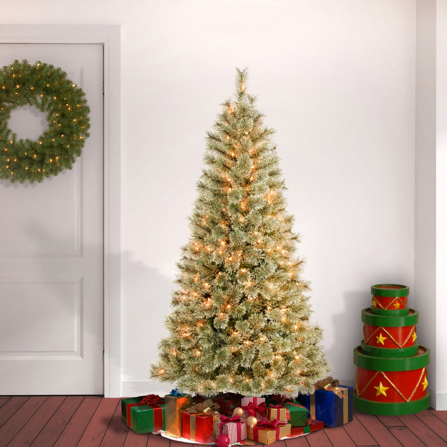 6 ft. Pre-Lit Arcadia Pine Cashmere with Clear Lights