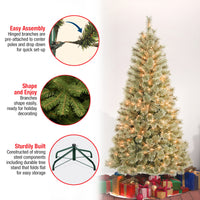 6 ft. Pre-Lit Arcadia Pine Cashmere with Clear Lights - National Tree Company