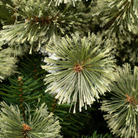 6 ft. Arcadia Pine Cashmere Tree - National Tree Company