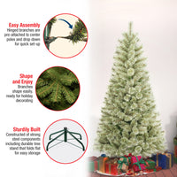 6 ft. Arcadia Pine Cashmere Tree - National Tree Company