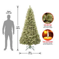 7.5 ft. Arcadia Pine Cashmere Tree - National Tree Company