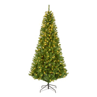 7.5 ft Pre-Lit Winchester Pine Slim Tree with Warm White LED Lights - National Tree Company
