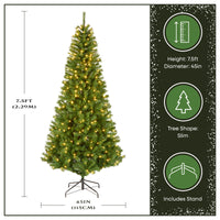 7.5 ft Pre-Lit Winchester Pine Slim Tree with Warm White LED Lights - National Tree Company