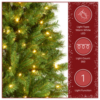 7.5 ft Pre-Lit Winchester Pine Slim Tree with Warm White LED Lights - National Tree Company
