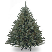 4.5 ft. Aberdeen Blue Spruce Tree - National Tree Company