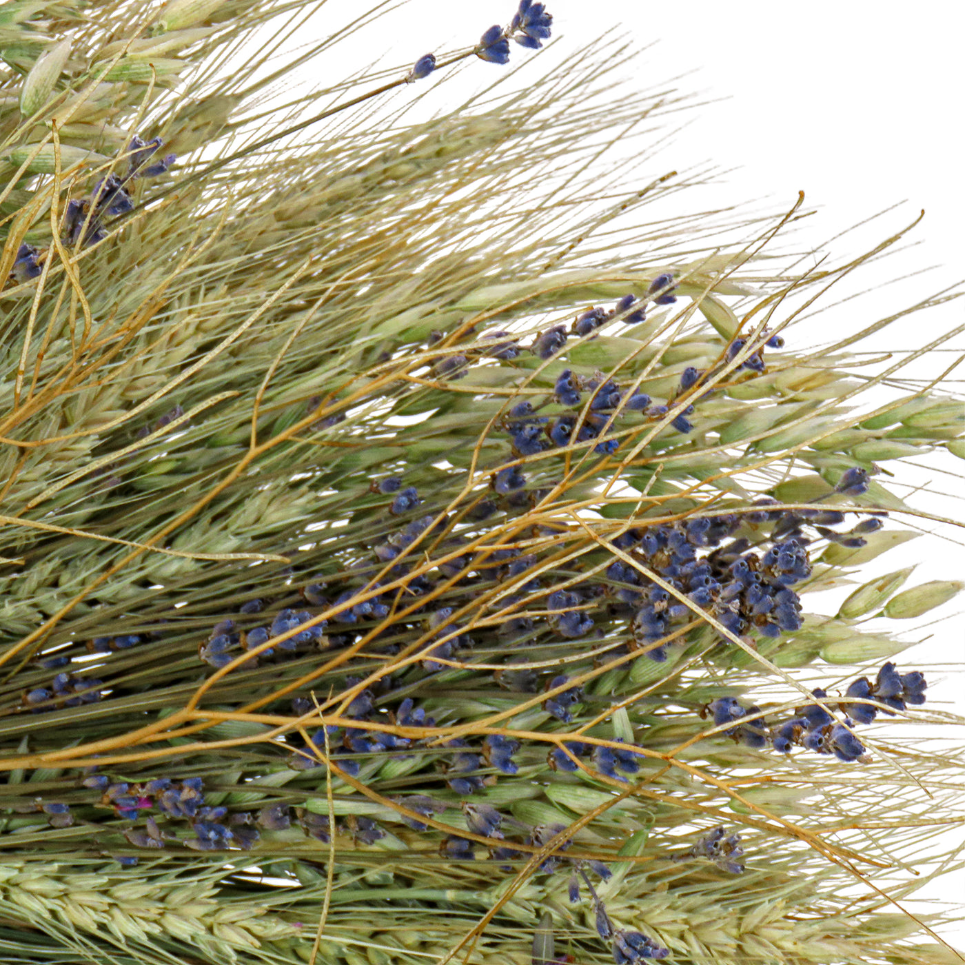20 in. Spring Wreath with Wheat Stalks, Lavender, and Leafy Greens - National Tree Company