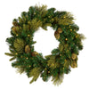 24 in. Pre-Lit Carolina Pine Wreath with Warm White LED Lights - National Tree Company