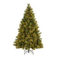 6.5 ft. Pre-Lit Carolina Pine Tree with Clear Lights - National Tree Company