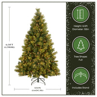 6.5 ft. Pre-Lit Carolina Pine Tree with Clear Lights - National Tree Company