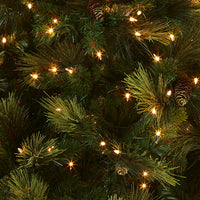 6.5 ft. Pre-Lit Carolina Pine Tree with Clear Lights - National Tree Company