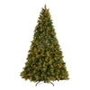 9 ft. Pre-Lit Carolina Pine Tree with Clear Lights with 900 Clear Lights - National Tree Company