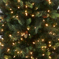 10 ft.Pre-Lit Carolina Pine Slim Tree with Clear Lights - National Tree Company