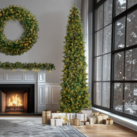 12 ft. Pre-Lit Carolina Pine Slim Tree with Clear Lights, Plug-In - National Tree Company