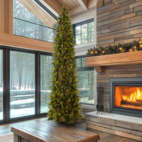 12 ft. Pre-Lit Carolina Pine Slim Tree with Clear Lights, Plug-In - National Tree Company