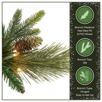 7.5 ft. Pre-Lit Carolina Pine Slim Tree with Clear Lights - National Tree Company