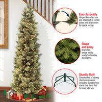 7.5 ft. Pre-Lit Carolina Pine Slim Tree with Clear Lights - National Tree Company