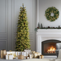 9 ft. Pre-Lit Carolina Pine Slim Tree with Clear Lights - National Tree Company