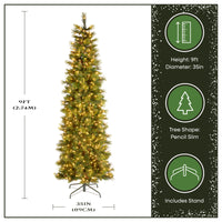 9 ft. Pre-Lit Carolina Pine Slim Tree with Clear Lights - National Tree Company