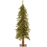 4 ft. Hickory Cedar Tree - National Tree Company