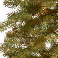 5 ft. Hickory Cedar Tree - National Tree Company