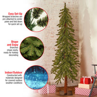 5 ft. Hickory Cedar Tree - National Tree Company