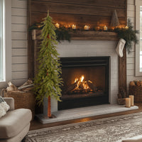 5 ft. Hickory Cedar Tree - National Tree Company