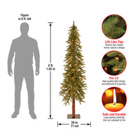 6 ft. Pre-Lit Hickory Cedar Tree with Clear Lights - National Tree Company