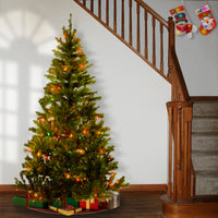 6 ft. Pre-Lit Canadian Fir Grande Tree with Multicolor Lights - National Tree Company