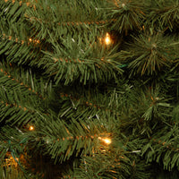 4 ft. Pre-Lit Canadian Fir Tree with Clear Lights - National Tree Company