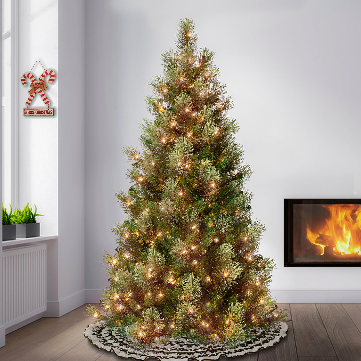 6 ft. Pre-Lit Charleston Pine Slim Tree with Clear Lights - National Tree Company