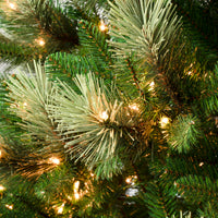 6 ft. Pre-Lit Charleston Pine Slim Tree with Clear Lights - National Tree Company