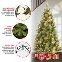 6 ft. Pre-Lit Charleston Pine Slim Tree with Clear Lights - National Tree Company