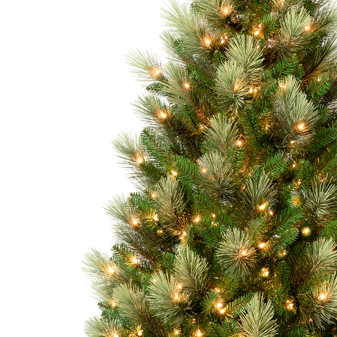 9 ft. Pre-Lit Charleston Pine Tree with Clear Lights - National Tree Company