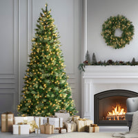 9 ft. Pre-Lit Charleston Pine Tree with Clear Lights - National Tree Company