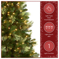 9 ft. Pre-Lit Charleston Pine Tree with Clear Lights - National Tree Company