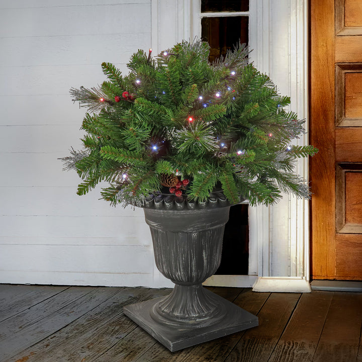 24" Crestwood® Spruce Porch Bush with Twinkly™ LED Lights