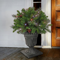 24 in. Crestwood Spruce Porch Bush with Twinkly LED Lights - National Tree Company