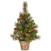 2 ft. Pre-Lit Crestwood Spruce Entrance Tree with Clear Lights, Plug-In - National Tree Company