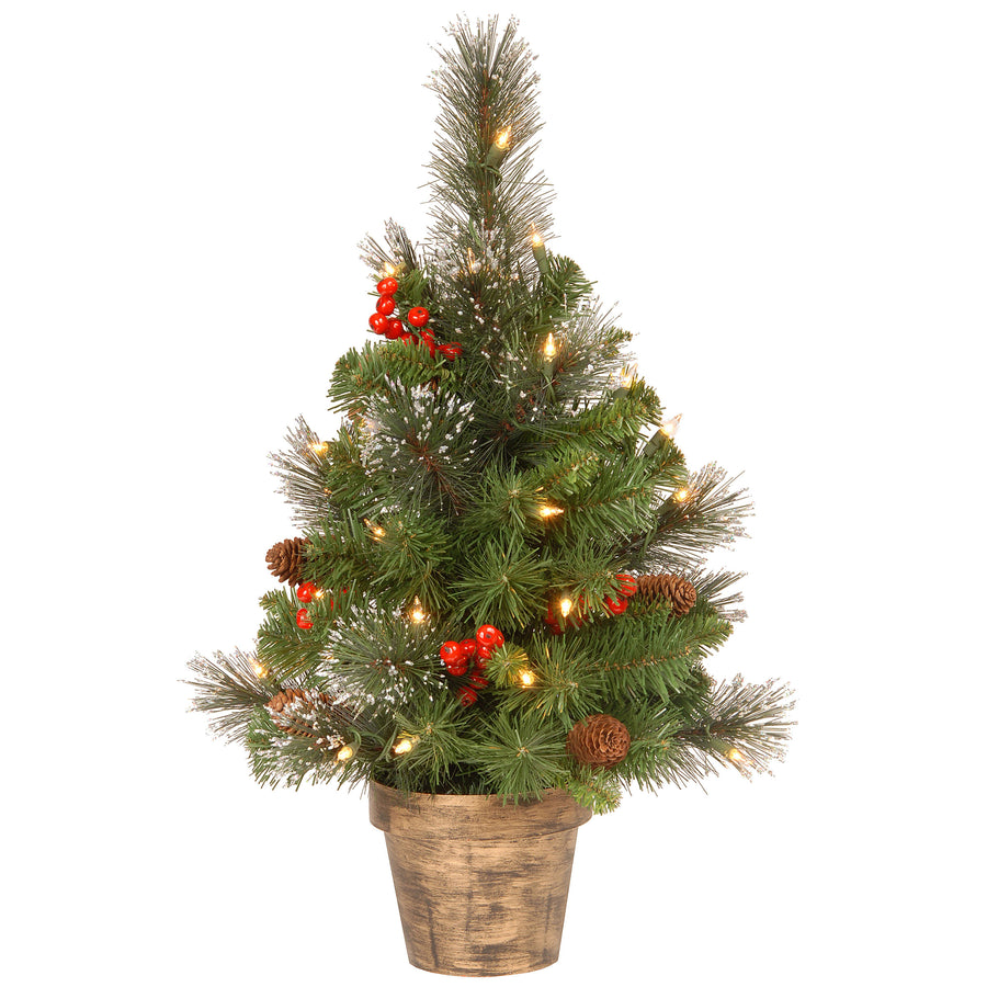 2 ft. Pre-Lit Crestwood Spruce Entrance Tree with Clear Lights, Plug-In - National Tree Company