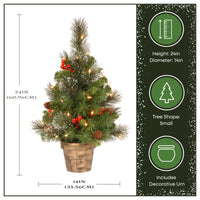 2 ft. Pre-Lit Crestwood Spruce Entrance Tree with Clear Lights, Plug-In - National Tree Company