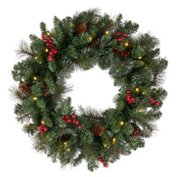 24 in. Pre-Lit Crestwood Spruce Wreath with Infinity Lights - National Tree Company