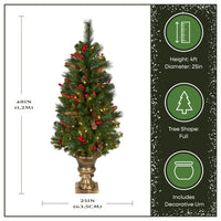 4 ft. Pre-Lit Crestwood Spruce Entrance Tree with Clear Lights, Plug-In - National Tree Company