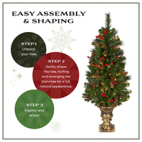 4 ft. Pre-Lit Crestwood Spruce Entrance Tree with Clear Lights, Plug-In - National Tree Company