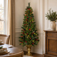 5 ft. Pre-Lit Crestwood Spruce Entrance Tree with Clear Lights - National Tree Company