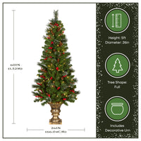 5 ft. Pre-Lit Crestwood Spruce Entrance Tree with Clear Lights - National Tree Company