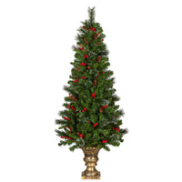 5 ft. Pre-Lit Crestwood Spruce Entrance Tree with Clear Lights - National Tree Company