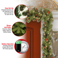 9 ft. Pre-Lit Crestwood Spruce Garland with LED Lights - National Tree Company