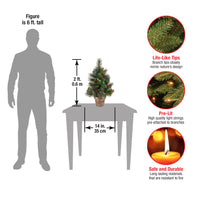 2 ft. Pre-Lit Crestwood Spruce Tree with Multicolor LED Lights - National Tree Company