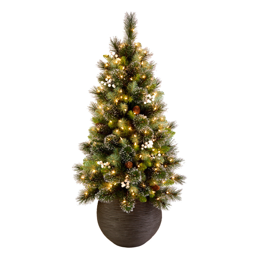 4ft. Glittery Crestwood Spruce Entrance Tree with Clear Lights - National Tree Company